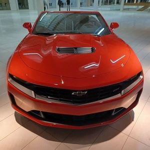 Meet your Posher, Marcel jr.